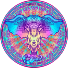 Tribal Style Elephant Over Mandala Sticker