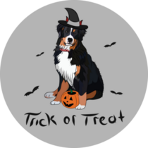 Trick Or Treat Berner Sticker