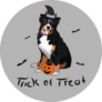 Trick Or Treat Berner Sticker