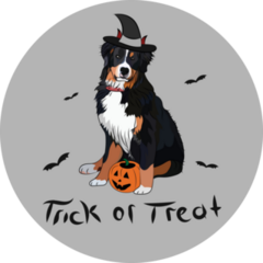 Trick Or Treat Berner Sticker