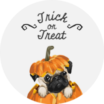 Trick Or Treat Pug Sticker