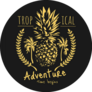 Tropical Adventure Pineapple Sticker
