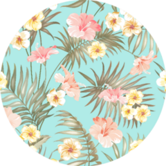 Tropical And Beautiful Plumeria Flowers Patten Sticker