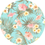 Tropical And Beautiful Plumeria Flowers Patten Sticker