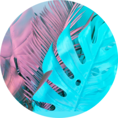 Tropical And Palm Leaves In Vibrant Colors Sticker