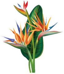 Tropical Arrangement With Strelitzia Flowers Sticker
