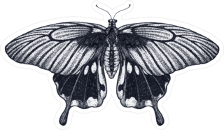 Tropical Butterfly Ink Drawing Sticker
