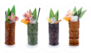 Tropical Cocktails Served In A Tiki Style Glass Sticker