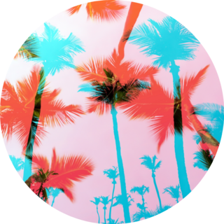 Tropical Coconut Palm Tree Florida Pattern Sticker