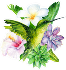 Tropical Composition Of Plumeria Flower And Others Sticker