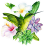Tropical Composition Of Plumeria Flower And Others Sticker