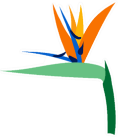 Tropical Flora Bird Of Paradise Illustration Sticker