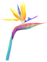 Tropical Flower Colorful Sticker