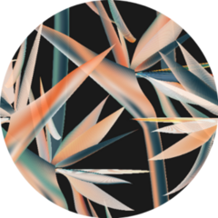 Tropical Flowers Bird Of Paradise Pattern On Black Sticker