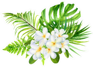 Tropical Flowers, Palm Leaves, Plumeria Sticker