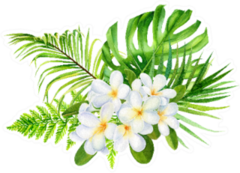 Tropical Flowers, Palm Leaves, Plumeria Sticker
