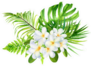 Tropical Flowers, Palm Leaves, Plumeria Sticker
