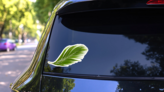 Tropical Green Palm Leaf Sticker on a Rear Car Window (New) example
