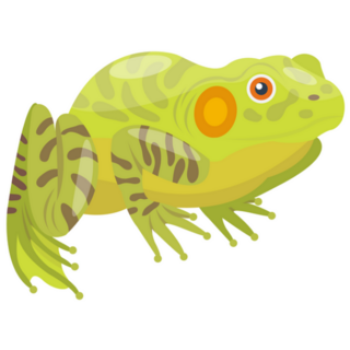 Tropical Green Spotted Frog Sticker