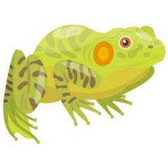 Tropical Green Spotted Frog Sticker
