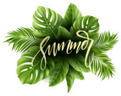 Tropical Palm Leaf Summer Sticker