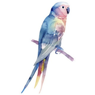 Tropical Parakeet Sticker