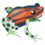 Tropical Red, Green and Black Frog Sticker