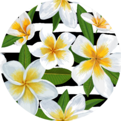 Tropical Seamless Pattern With Plumeria Flowers Sticker