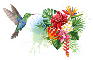 Tropical Summer Arrangements With Humming Bird Sticker