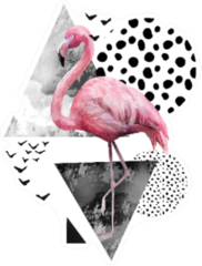 Tropical Summer Geometric Flamingo Poster Sticker