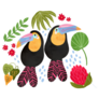 Tropical Toucan Birds Summer Sticker