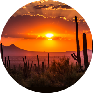 Tucson, Arizona Sticker