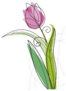 Tulip Design On White Background Sticker