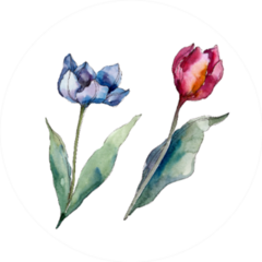 Tulip Floral Botanical Flowers Watercolor Sticker