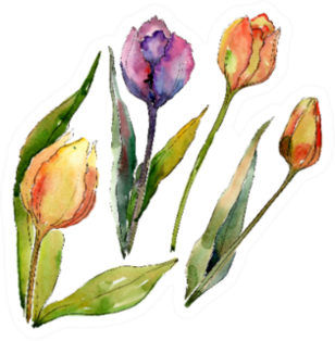 Tulip Floral Botanical Wild Spring Watercolor Sticker