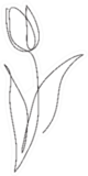 Tulip Flower Line Art Minimalist Sticker