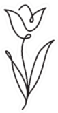 Tulip Flower Line Art Sticker