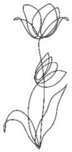 Tulips Flower Line Continuous Drawing Sticker