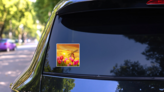 Tulips Garden Nature Netherlands Sticker on a Rear Car Window (New) example