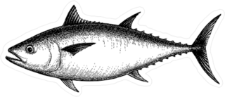 Tuna Illustration Sticker
