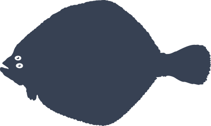 Turbot Fish Sticker