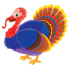 Turkey Colorful Cartoon Sticker