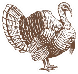 Turkey Hand Drawn Illustration Sticker
