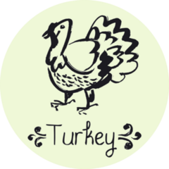 Turkey Sketch Sticker