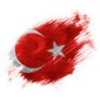 Turkish Flag Painted With Brush Sticker
