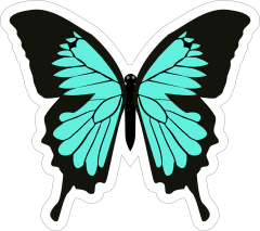 Turquoise and Black Butterfly Stickers and Decals