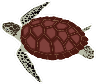Turtle Illustration Sticker