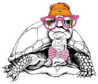 Turtle In A Hipster Hat Glasses Sticker