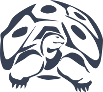 Turtle With Big Shell Sticker