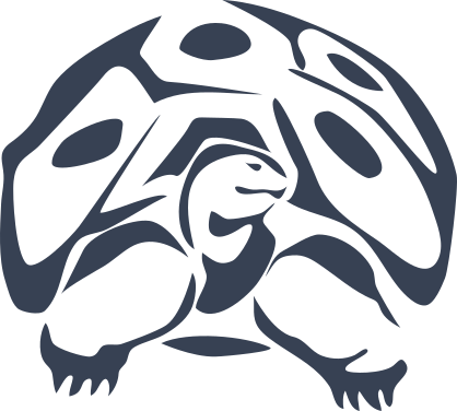 Turtle With Big Shell Sticker